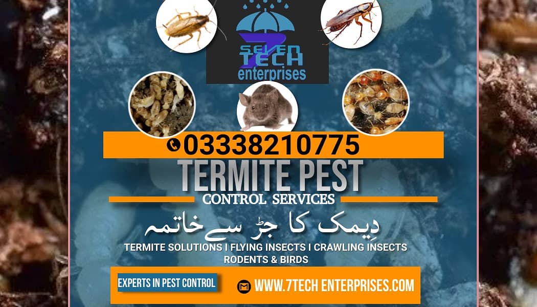 Termite control,Dengue spray,Fumigation,Pest control,Pre Construction 0