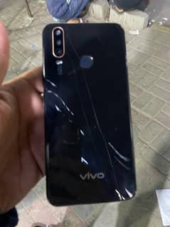 vivo