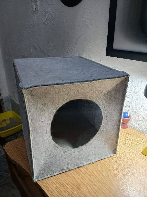 Cat House with Cushion 1