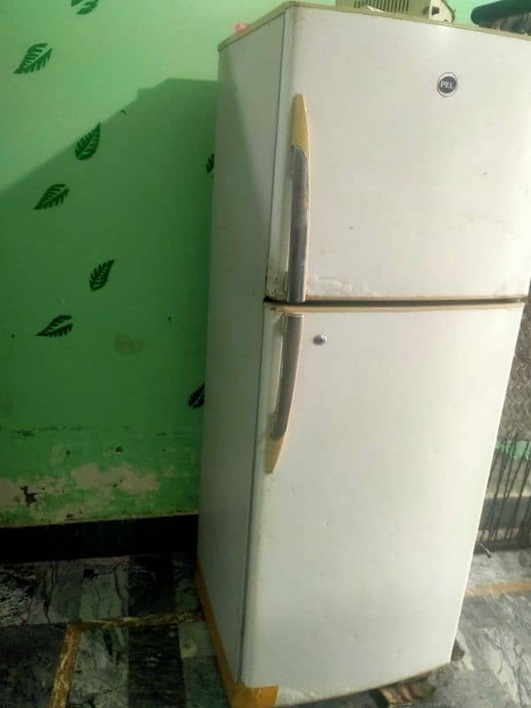 Pel Refrigerator 6