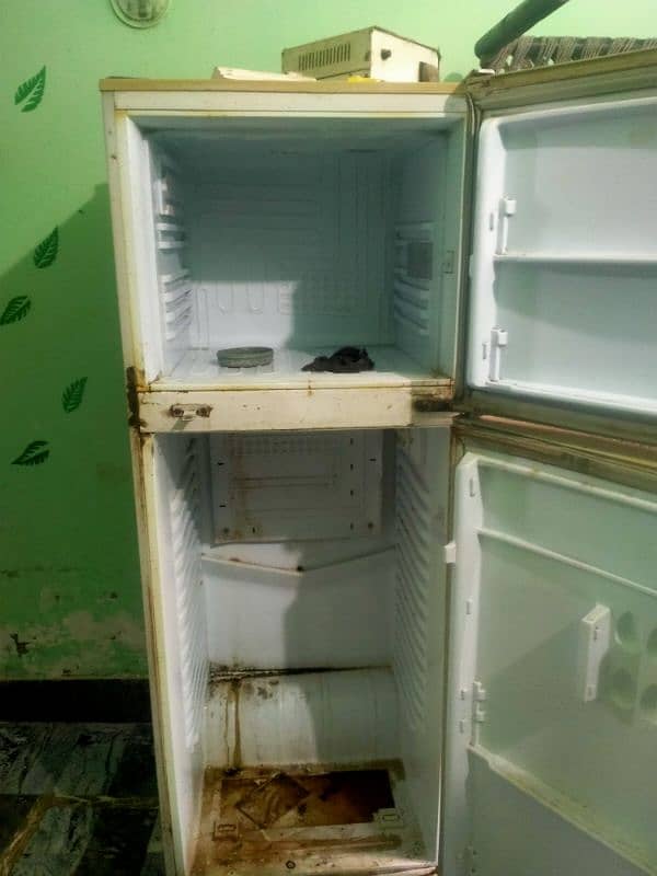 Pel Refrigerator 10