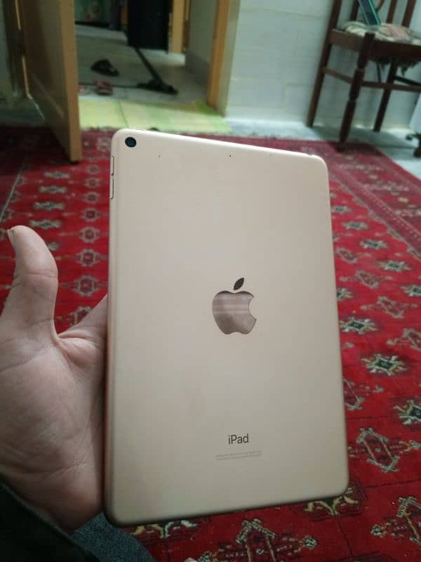 ipad mini 5 64Gb 1