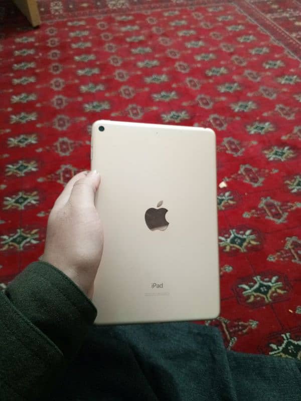 ipad mini 5 64Gb 4