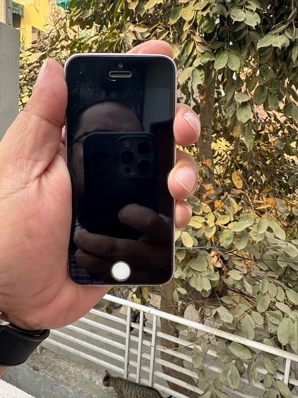 iphone 5SE golden rose 16 gb pta  proved 0