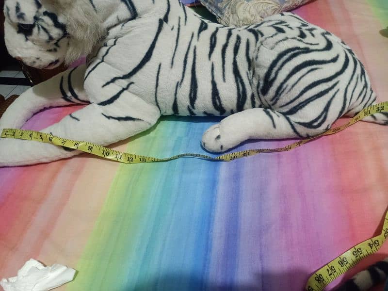 gaint tigers for sale. one is dog size & other one is cat size. 5