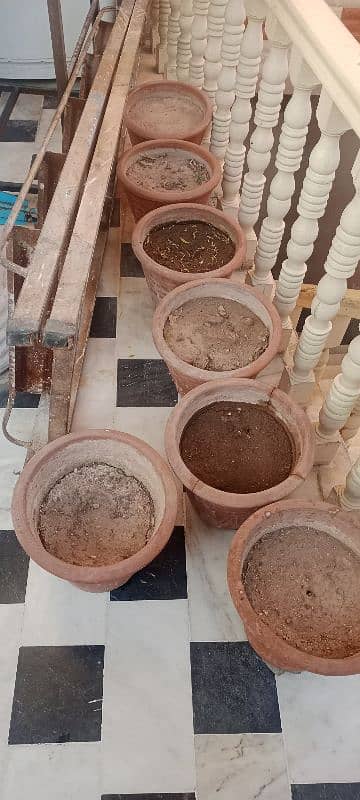 Plants pots with mud 1