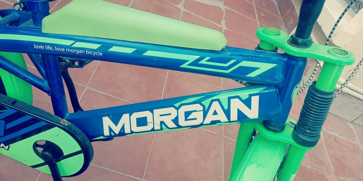 Morgan cycle  size 20 inch tyre 6