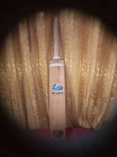 hard boll cricket bat