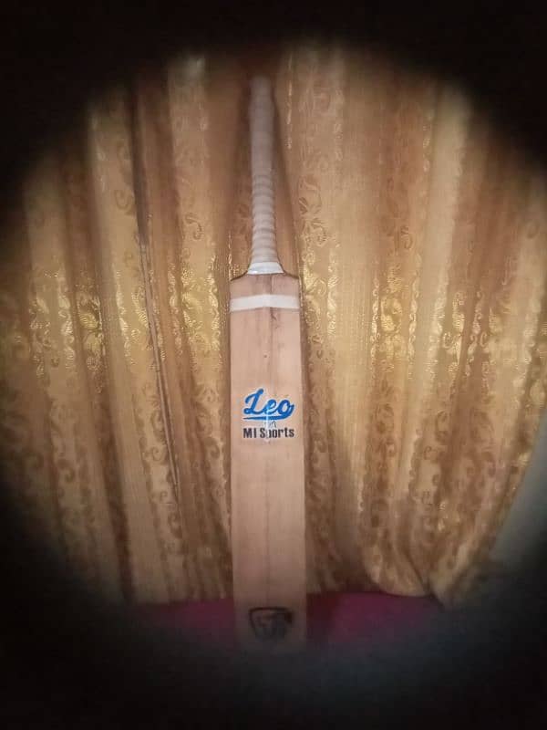 hard boll cricket bat 0