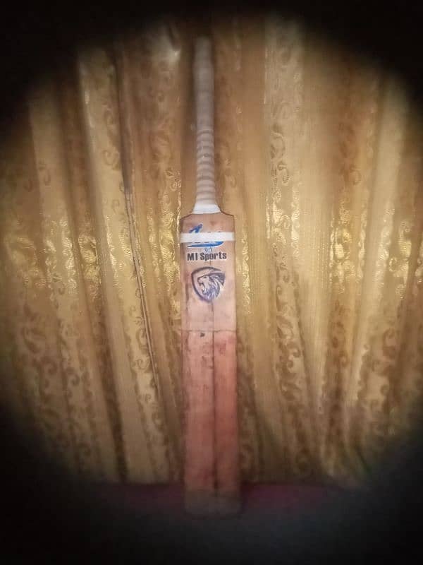 hard boll cricket bat 2