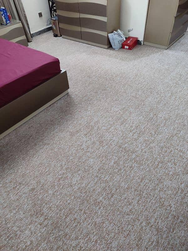 Carpet in good condition 1