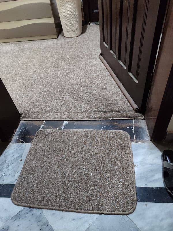 Carpet in good condition 3