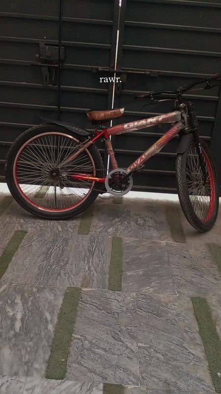 New bicycle 1