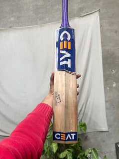 hard ball bat