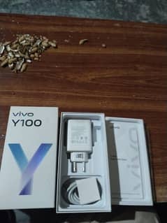 vivo y100