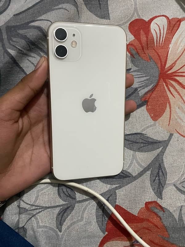 Apple Iphone 11 Pta Approved 1