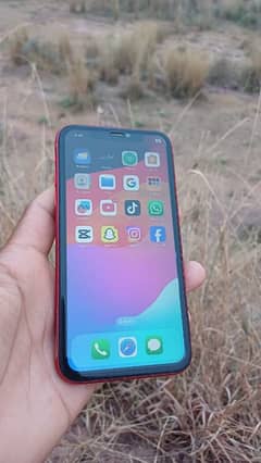 iPhone 11 non pta