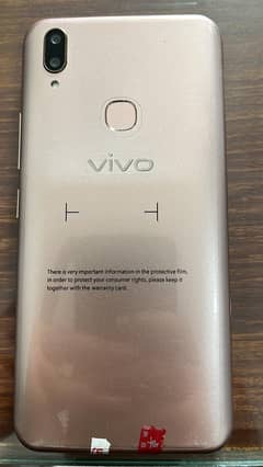 vivo