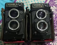 Yashica