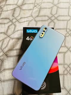 vivo