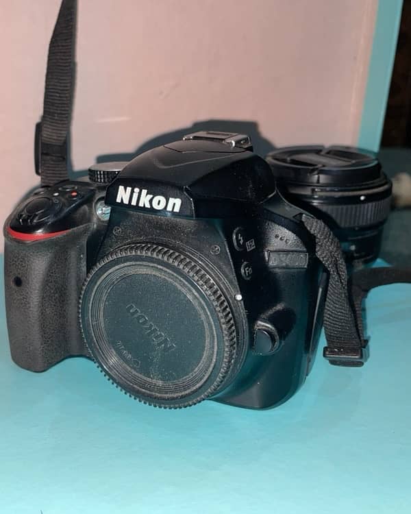 Nikon D3400 with 50mm lens 4