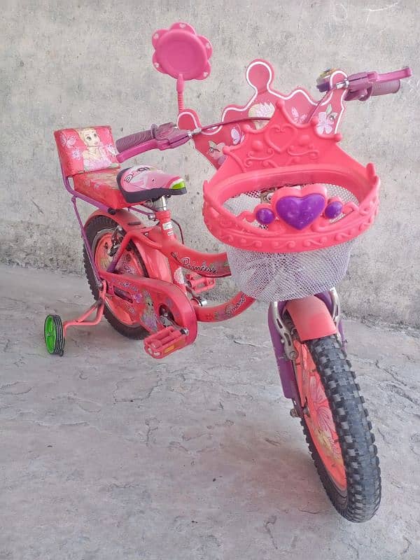 baby's bicycle 0