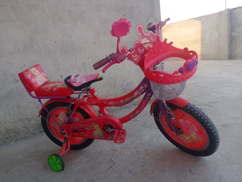 baby's bicycle 3