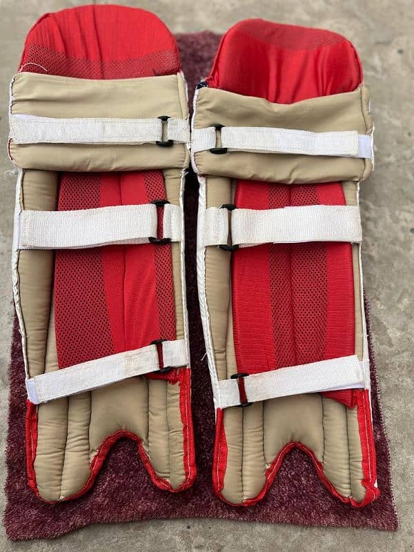 cricket pads 1