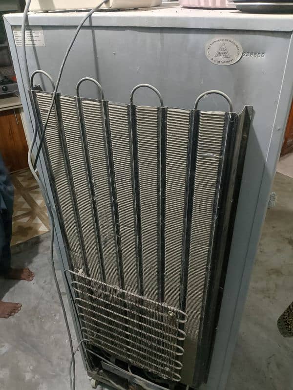 Dowlance fridge urgent sell 2