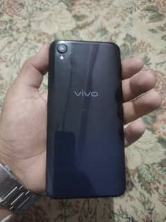 vivo