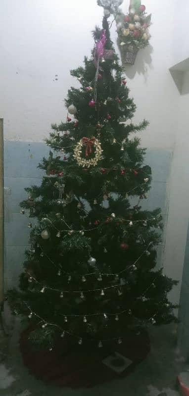 Christmas tree for sale 0