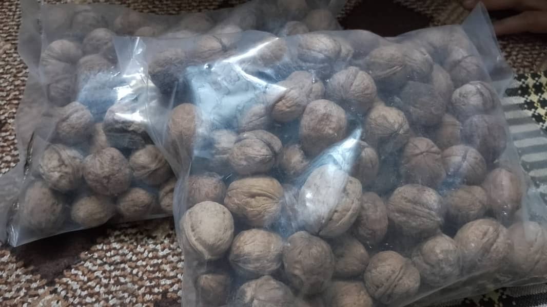 Fresh Walnuts from Kashmir 0