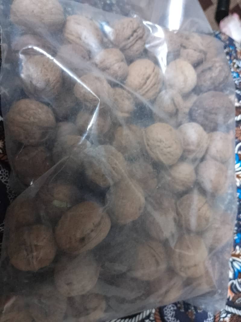 Fresh Walnuts from Kashmir 1