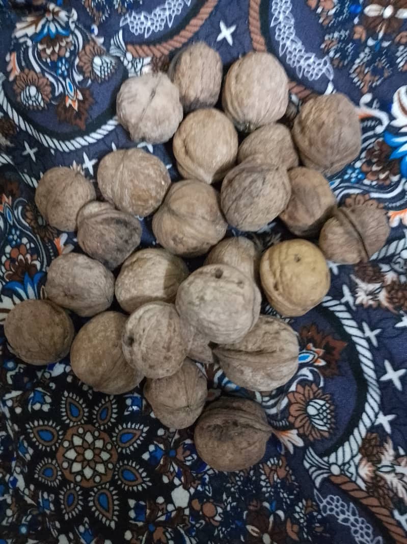 Fresh Walnuts from Kashmir 2