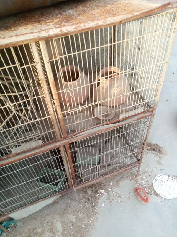 cage for sale 1