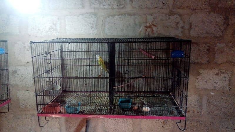 bird cage 0