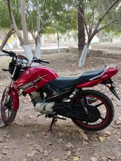 YAMAHA YBR 125 2015