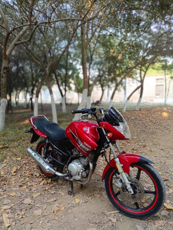 YAMAHA YBR 125 2015 1