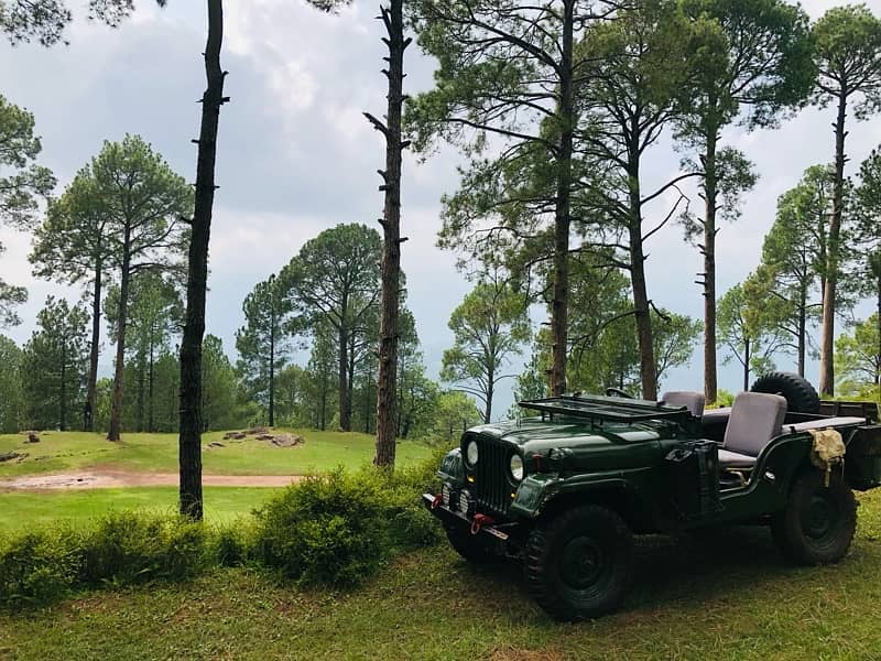 willys jeep M38A1 1963 0