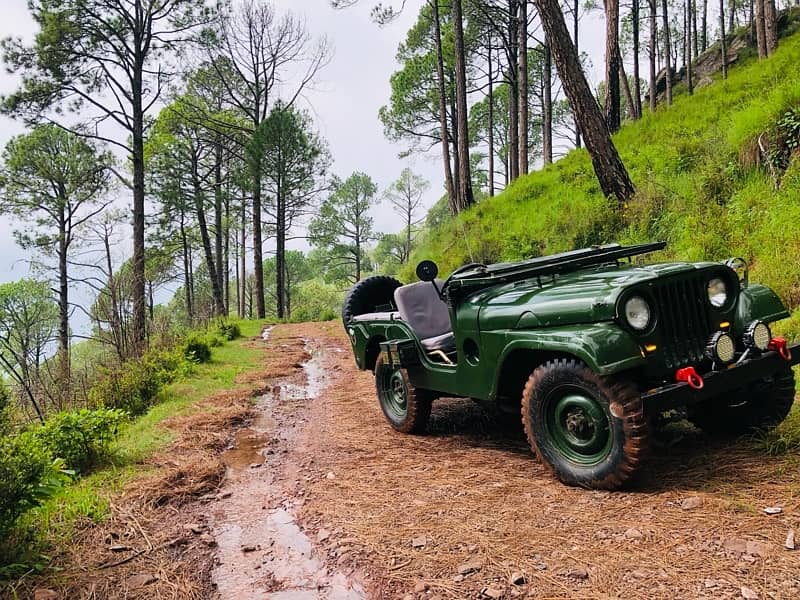 willys jeep M38A1 1963 5