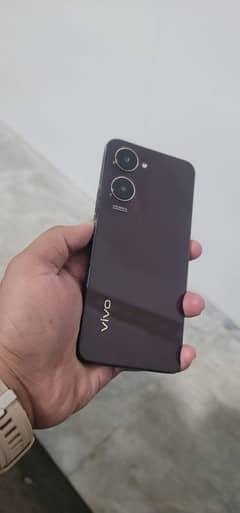 vivo