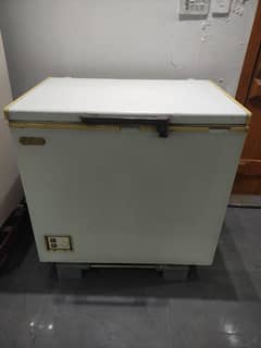 Waves Single Door Deepfreezer