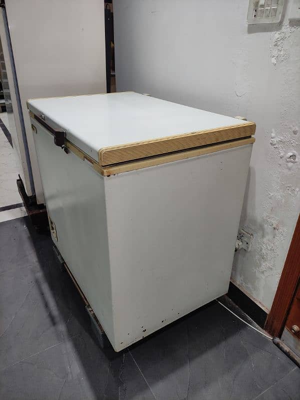 Waves Single Door Deepfreezer 4