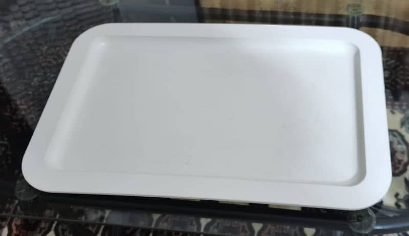 Imported Solid Plastic Serving Tray 4