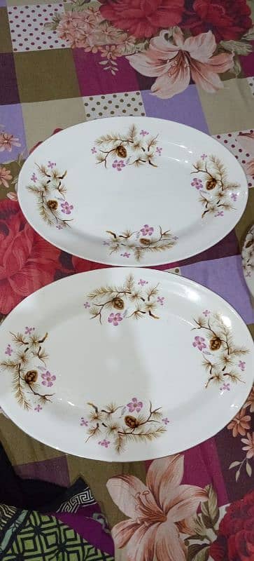 45 piece of White marble dinner set 6