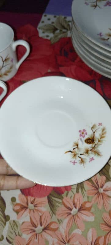 45 piece of White marble dinner set 7