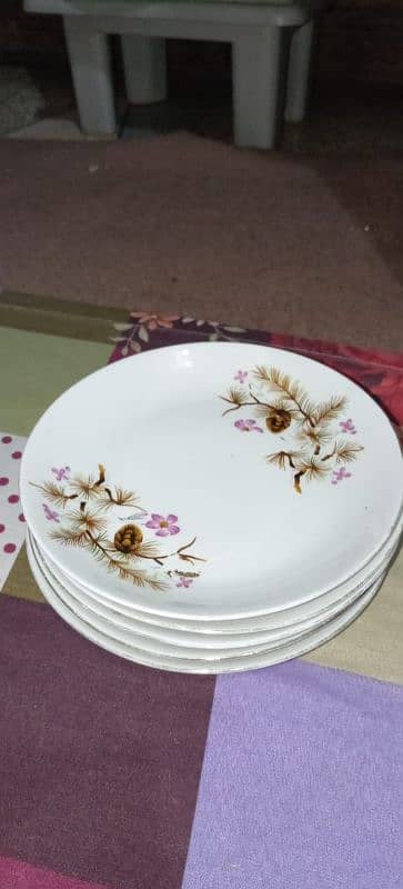 45 piece of White marble dinner set 11