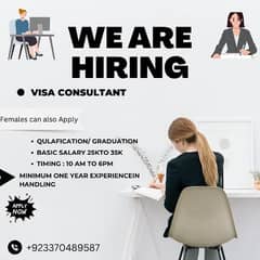 visa consultant