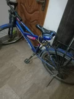 cycle for sell only "Whatsapp" 03123676415