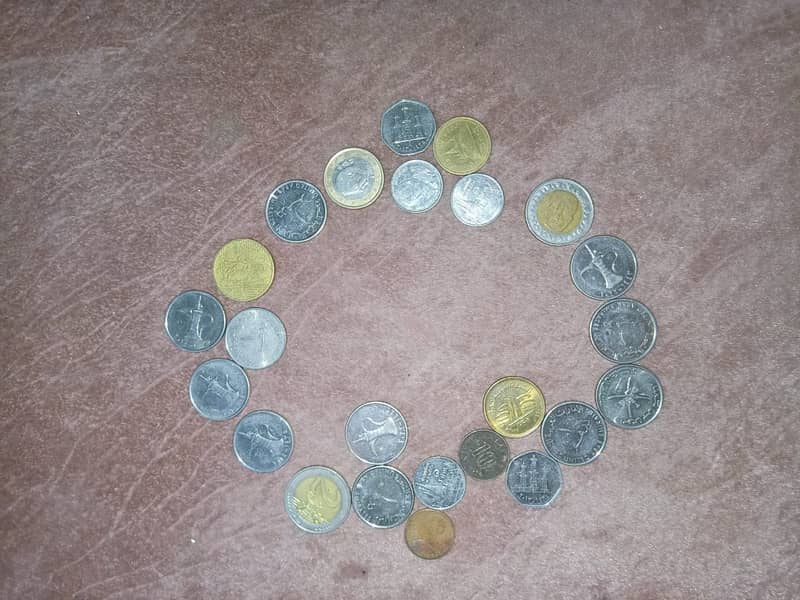 COINS 13